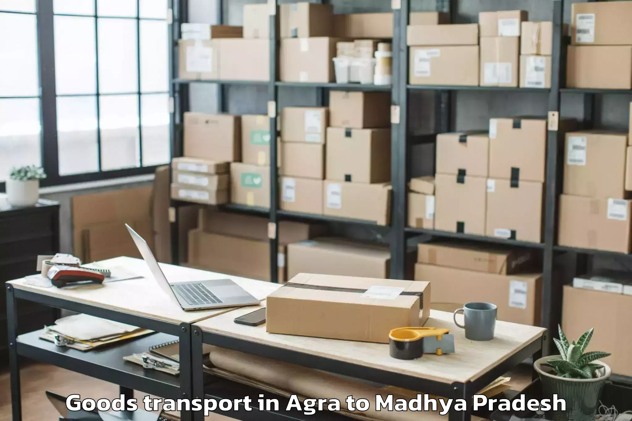 Top Agra to Pachore Goods Transport Available